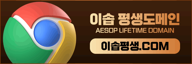 평생도메인